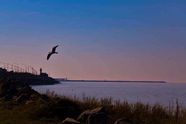 Matane - Le port de mer de Matane