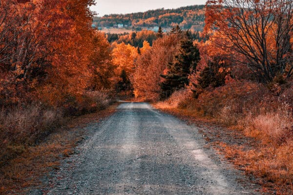 Matane - Une route de campagne