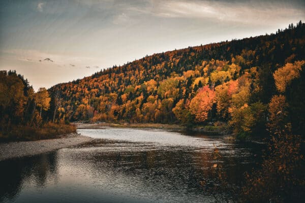 Matane - La rivière Matane