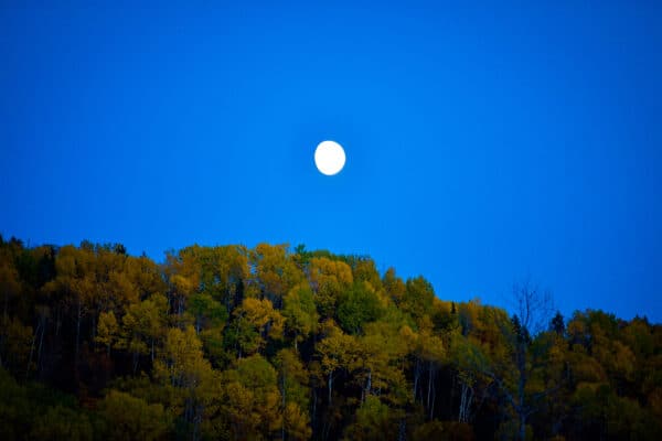 Matane - L’automne