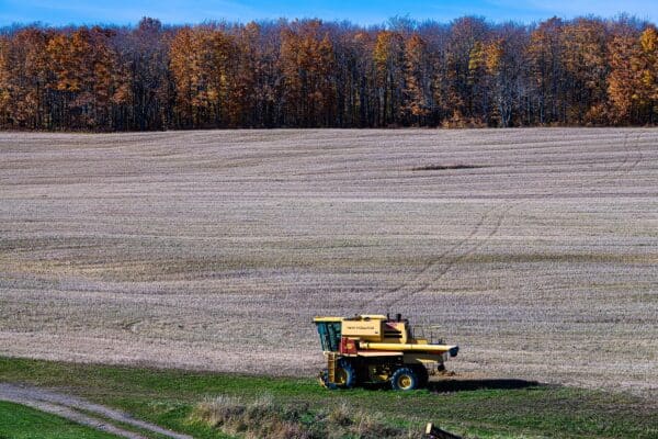Matapedia - Un champ agricole