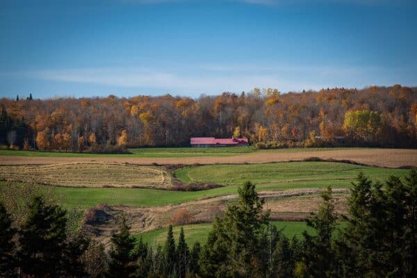 Matapedia - L’érablière La sucrerie Gagné
