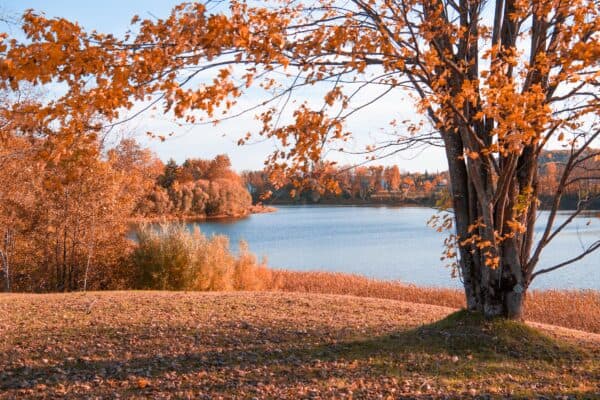 Matapedia - Couleurs d’automne