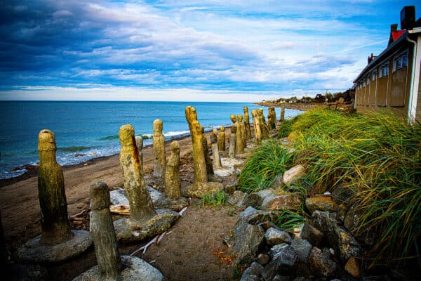 Mitis - Centre d’Art Marcel Gagno