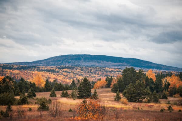 Mitis - Le mont Comi