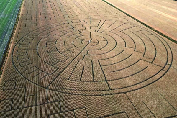 Kamouraska - Grand Labyrinthe