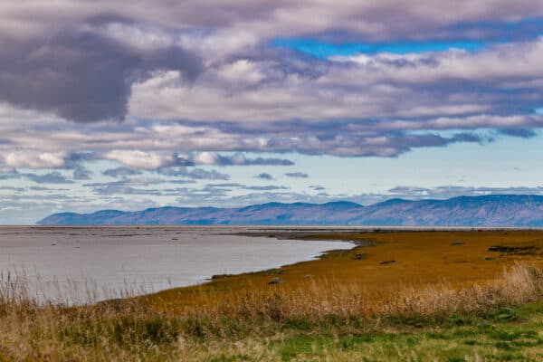 Kamouraska - Les battures de Rivière-Ouelle