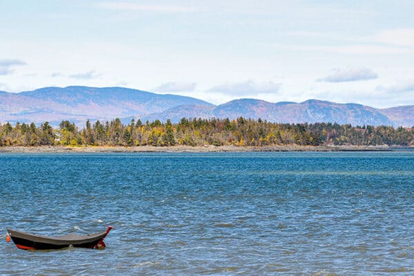 Kamouraska - L'île aux Corneilles